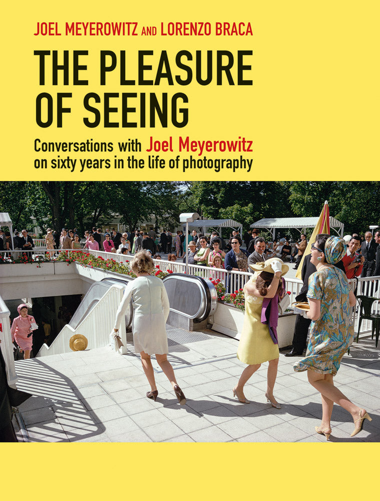 The Pleasure of Seeing. Conversations with Joel Meyerowitz