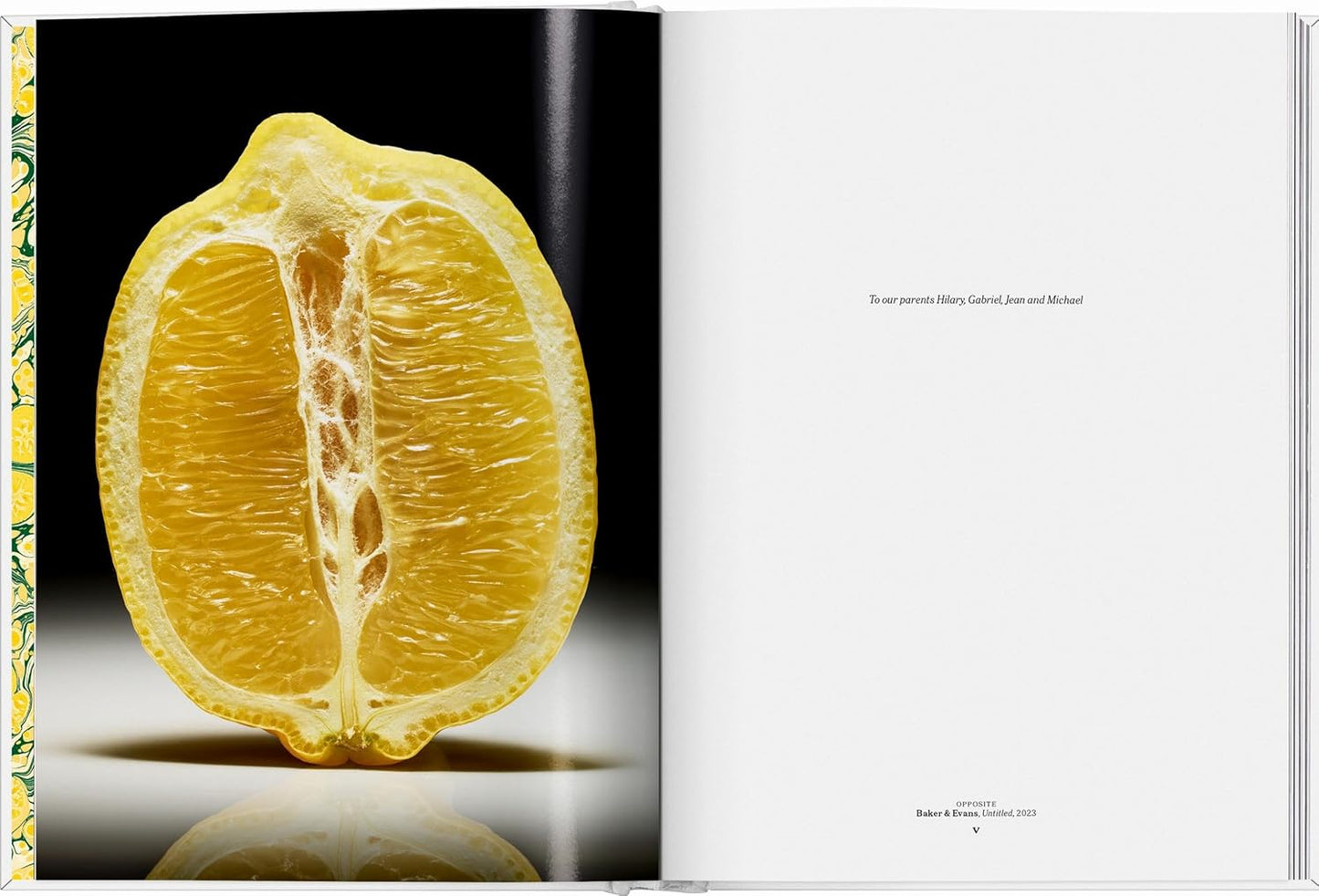 The_Gourmand_s_Lemon_Book_Pic_1