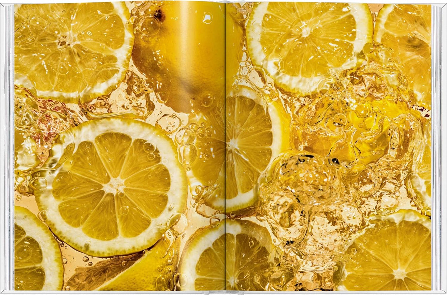 The_Gourmand_s_Lemon_Book_Pic_4